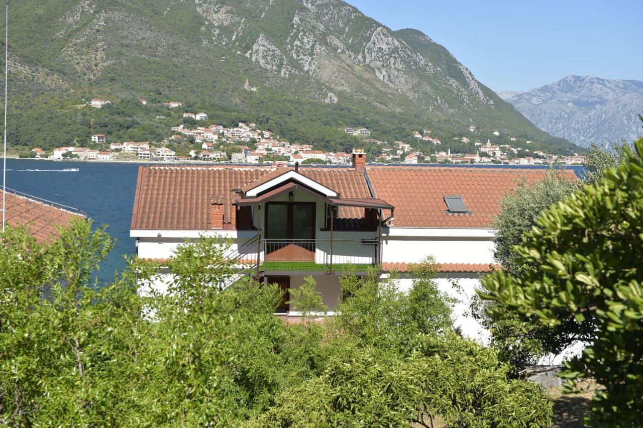 Appartement Viva à Kotor Extérieur photo